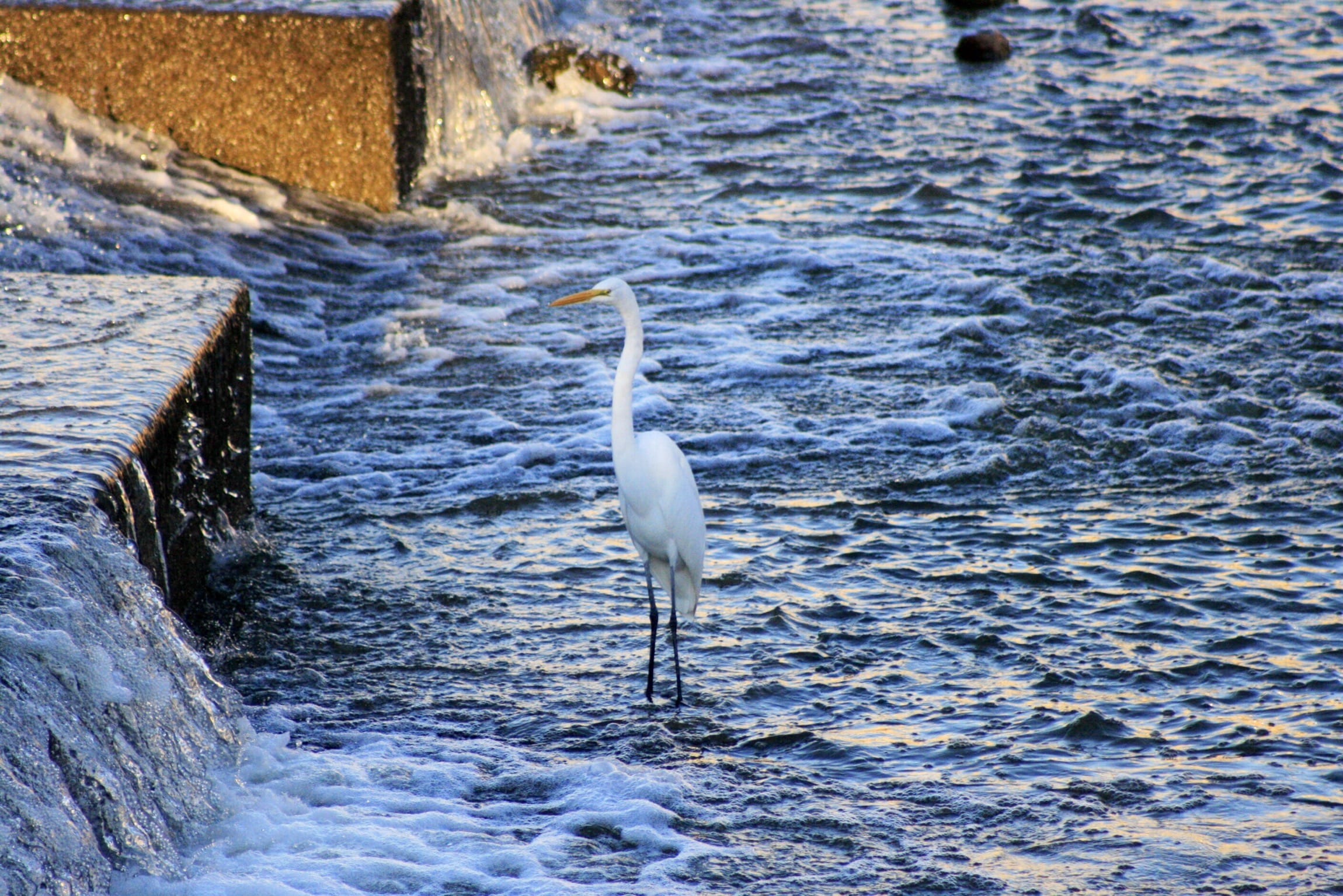 G Alexander Photos | My Portfolio